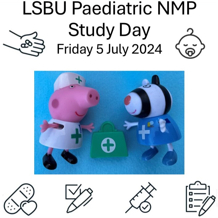 Non-Medical Prescribing Study Day with felt characters